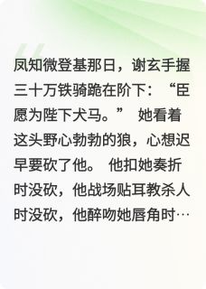 沉璧C最新小说女帝她总想砍我，我却只想亲她谢玄凤知微在线试读