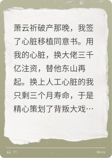 萧云祈赵晨曦是哪部小说的主角 萧云祈赵晨曦全文阅读