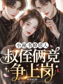 小秘书撩错人，叔侄俩竞争上岗小说全章节目录阅读BY明嘉妤完结版阅读
