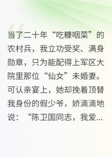 顶替我二十年，该把未婚妻还我了宋雅宁林辉李秀娟免费全章节目录阅读