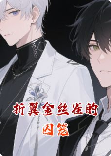 主角盛屿沈澈小说爆款折翼金丝雀的囚笼完整版小说