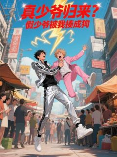 书荒必备真少爷归来？假少爷被我揍成狗全文章节阅读-随缘阅读网