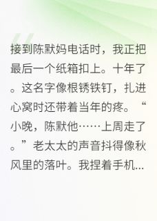 十年后打开他的铁盒，我哭到窒息（陈默陈强）精彩小说目录阅读