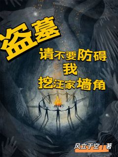 盗墓：请不要妨碍我挖汪家墙角阿蘅张麒全章节目录免费阅读