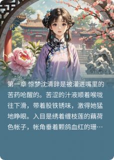 沈清辞康熙小说章节目录阅读-朱墙雪之梦在哪免费看
