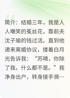 沈子瑜林薇薇小说被甩后，我成了他高攀不起的大佬完整章节