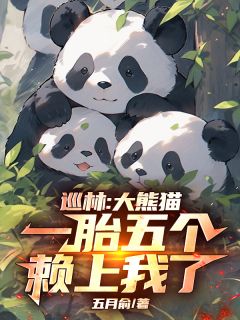 沈星熊猫巡林：大熊猫一胎五个，赖上我了全文(沈星熊猫)章节免费阅读