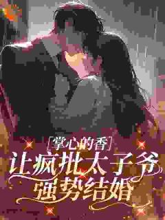 季葵瑷司靳延绝色诱瘾全章节免费阅读