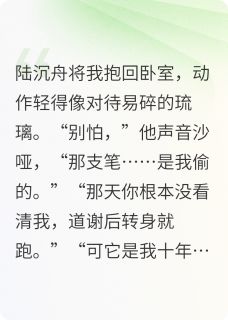 我藏了十年的光是什么小说苏晚陆沉舟全本免费阅读