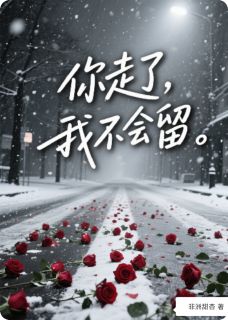 （全本）你走了，我不会留主角朗迪萧逸全文目录畅读