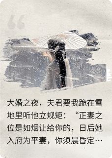 萧景辰苏落雪小说深情不如路边草完整章节