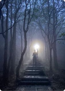 文明的哭泣引路人by星月居士