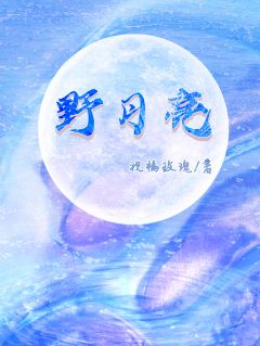 野月亮惠见月穆云开by祝福玫瑰免费看
