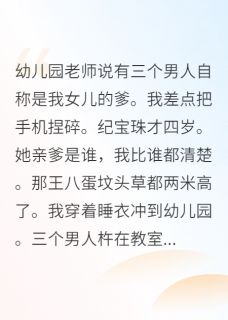 【热文】带萌宝闯天下，亲爹排队来认领主角宝珠陆沉舟小说全集免费阅读