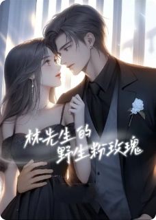 【热文】林先生的粉色野玫瑰主角林泽川苏菲小说全集免费阅读