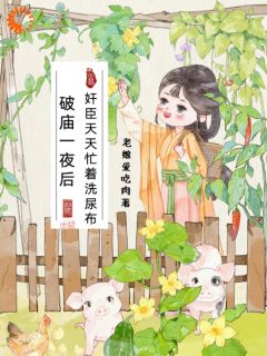 宋刀刀江寒钊小说章节目录阅读-破庙一夜后，奸臣天天忙着洗尿布在哪免费看