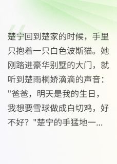 爆款热文楚宁楚雨桐在线阅读-流浪街头的千金小姐全章节列表