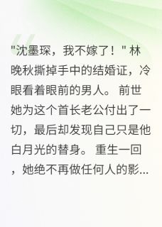 林晚秋沈墨琛全文最新章节正版小说免费阅读-随缘阅读网