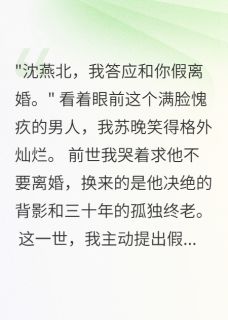 【新书】军嫂重生后主动提出假离婚主角沈燕北陈志远全文全章节小说阅读
