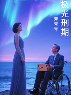 主角苏婉顾云深沈妍小说爆款极光刑期完整版小说