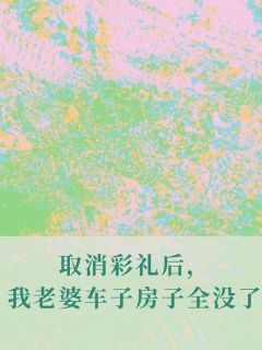取消彩礼后，我老婆车子房子全没了薛玉茹陈阳-咸鱼微甜小说