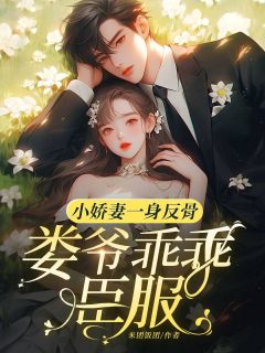 小娇妻一身反骨，娄爷乖乖臣服小说的书名是什么