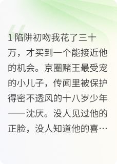 沈厌沈念完整版一见钟情的算计全文最新阅读