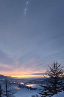 沈景星许岁暖(新书)小说_沈景星许岁暖阅读