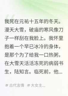 【新书】夫君别怕，这江山本就是为你打的主角陆知言沈家军全文全章节小说阅读