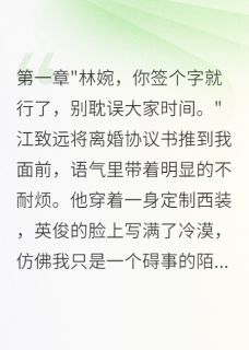 江致远苏晴林婉小说老公三年不碰我，重生后我秒离婚全文阅读