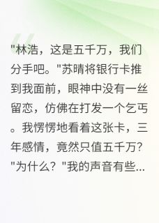 老婆给小三五千万给我五块钱王子轩苏晴王振华大结局在线阅读