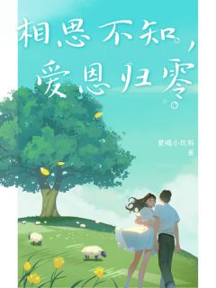 快手热文相思不知，爱恩归零沈星顾承景小说推荐