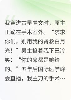 苏晚江怀仁苏小满小说无广告阅读