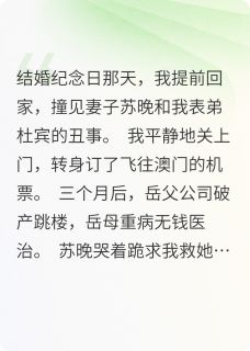 主人公杜宾林晨苏晚在线免费试读杀局：纪念日快乐最新章节列表