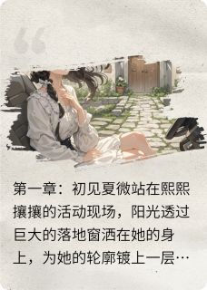 代码与温柔小说最后结局，夏微陆瑾百度贴吧小说全文免费