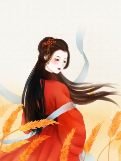 抖音热推小说春风杀破雁鸣关全文在线阅读