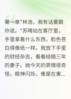 苏晴林浩江城全本章节在线阅读大结局