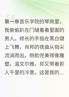 百度贴吧小说他喝醉了叫我名字，主角宋辞韩景宴全文免费