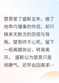 离婚后他跪求我原谅小说主角是盛靳楚恩全文完整版阅读