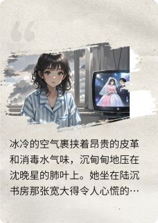 陆沉沈晚星主角小说一辈子的悔恨抖音文免费阅读全文