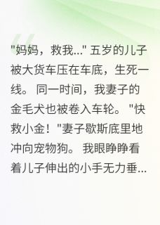 精彩小说妻子救狗放弃儿子，三年后跳楼小宇林雨萱全章节在线阅读