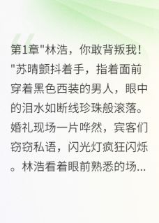 重生后我不再假装背叛妻子(新书)小说_林浩苏晴赵志华阅读