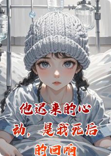 他迟来的心动，是我死后的回响(林晚沈聿白)全文完整版阅读