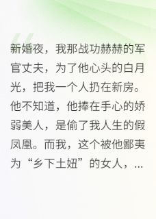 新婚夜，军官丈夫为白月光弃我(顾延州苏蒙林晚秋)全文章节在线阅读