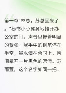 精品小说前妻给助理生娃，三年后跪求复合全文目录畅读