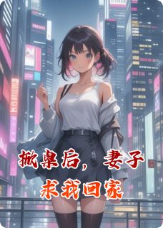 掀桌后，妻子求我回家林薇薇苏晚-一根大柠檬小说