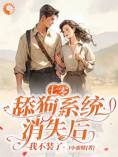 林盼盼商觖全本章节在线阅读大结局