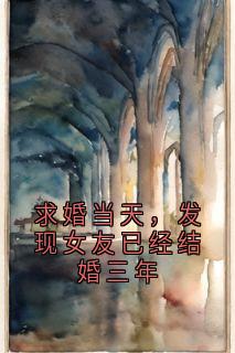 求婚当天，发现女友已经结婚三年(全章节)-盛年萧燃在线阅读