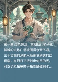 瀚宇龙契谪仙心上月小说-墨玄月瑶全篇阅读