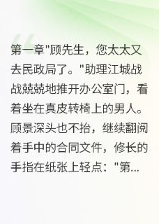 顾总，太太又去民政局申请离婚了by锦字流年小说完结版在线阅读